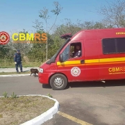 Cães de Busca e Salvamento auxiliam em buscas no 4º BBM