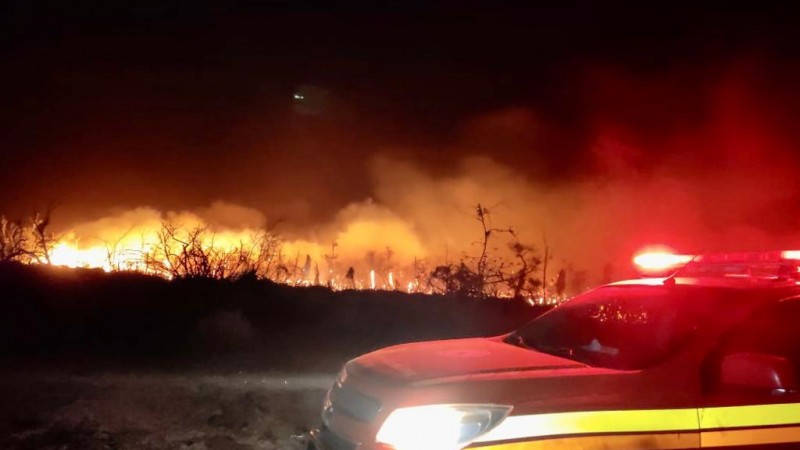 Incêndio em vegetação de grandes proporções em São Borja