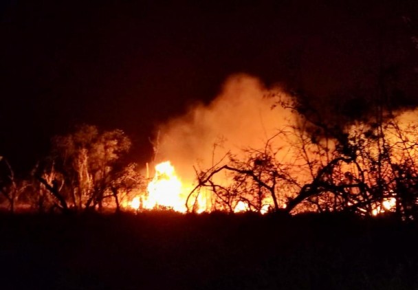 Incêndio em vegetação de grandes proporções em São Borja