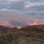 Na imagem, vegetação pegando fogo