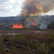 Na imagem, vegetação pegando fogo