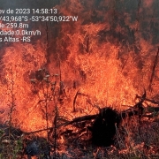 Na imagem, vegetação pegando fogo