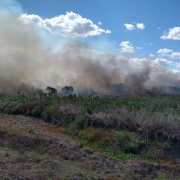 CBMRS atua há mais de 90 horas em combate a incêndio em vegetação em São Borja
