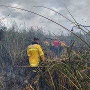 Incêndio no Banhado do Bororé, em São Borja, é controlado pelo CBMRS.