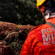 CBMRS participa do maior exercício simulado de resposta a desastres já realizado no Estado